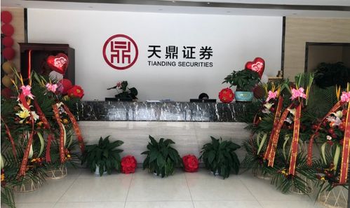 風雨同舟，共鑒未來 天鼎證券與投資者攜手前行